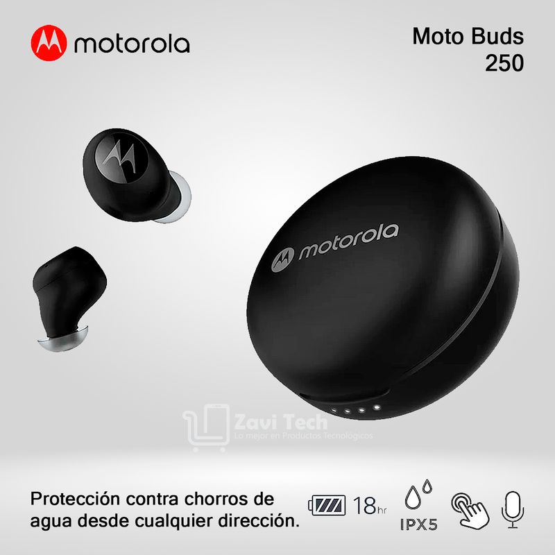MOTOROLA - Auriculares Motorola Bluetooth LPX5 Moto Buds 250 18hrs Negro