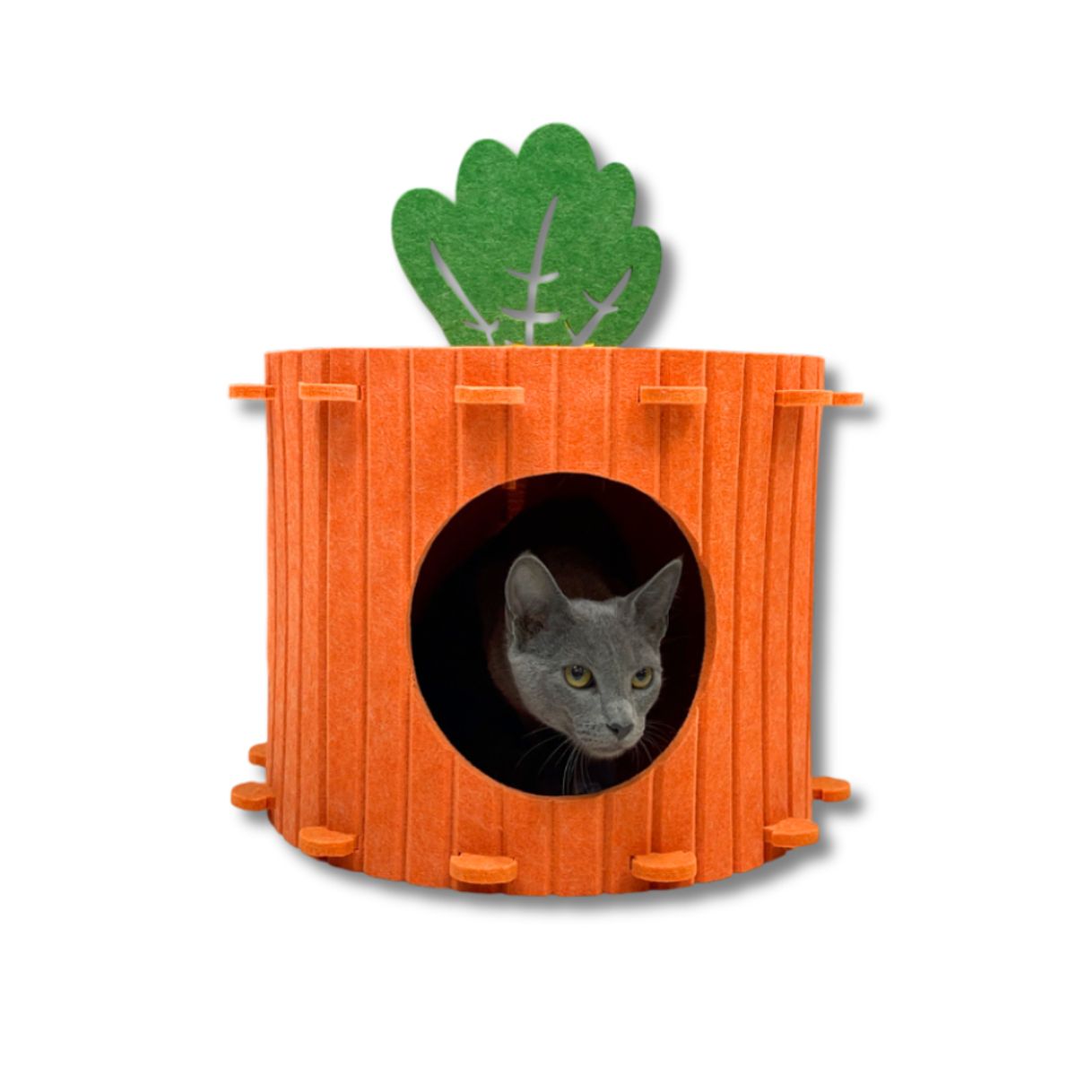 GENERICO - Casita Zanahoria Para Mascota