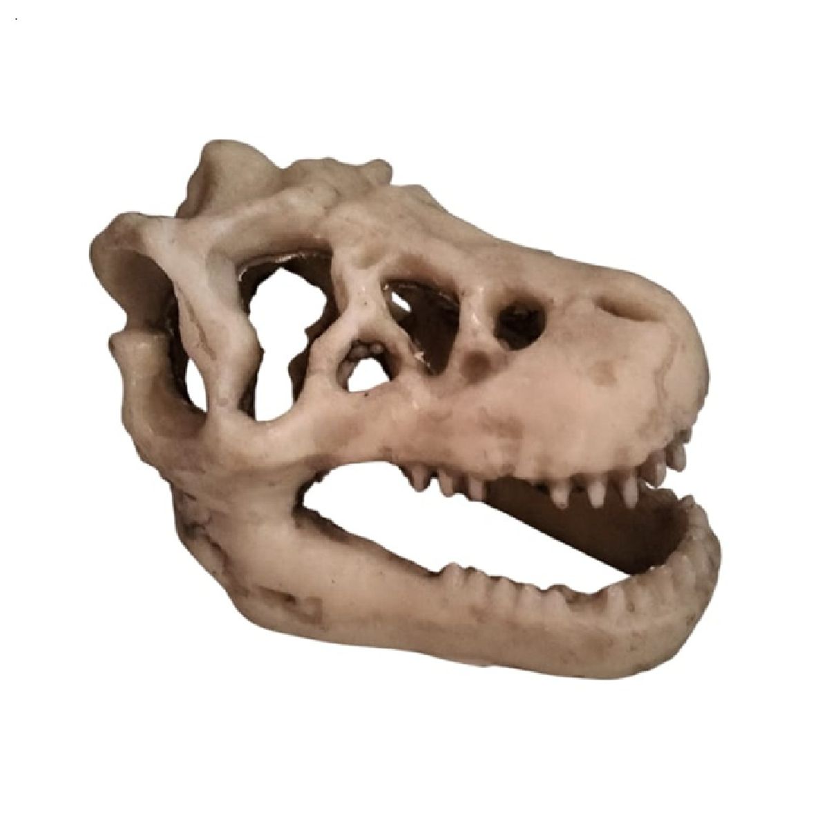 GENERICO - Adorno decorativo resina fósil tiranosaurio rex para peceras