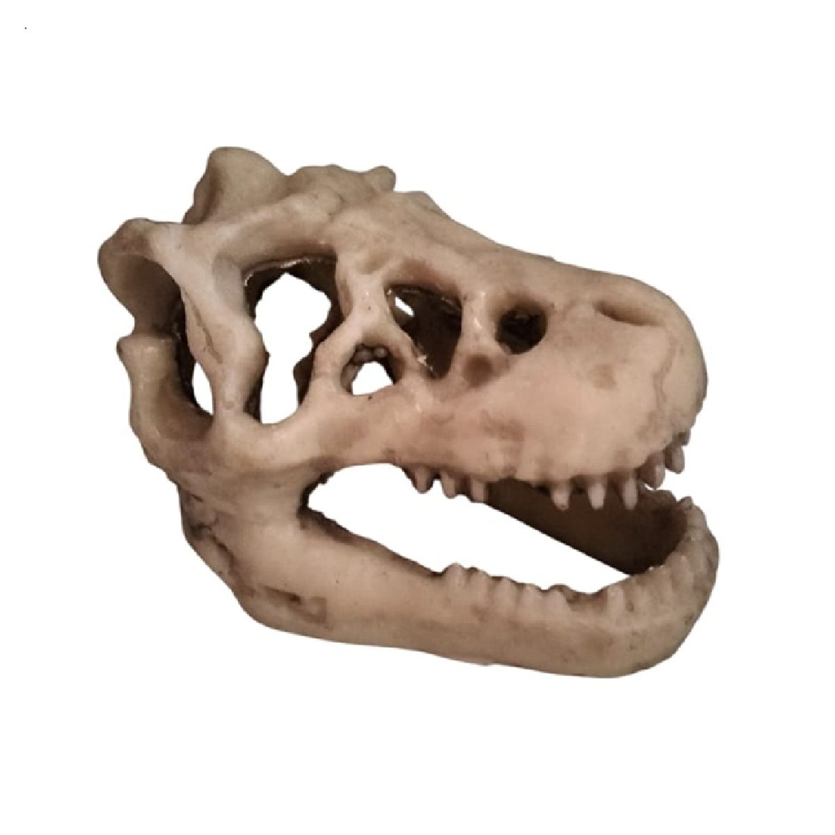 GENERICO - Adorno decorativo resina fósil tiranosaurio rex para peceras