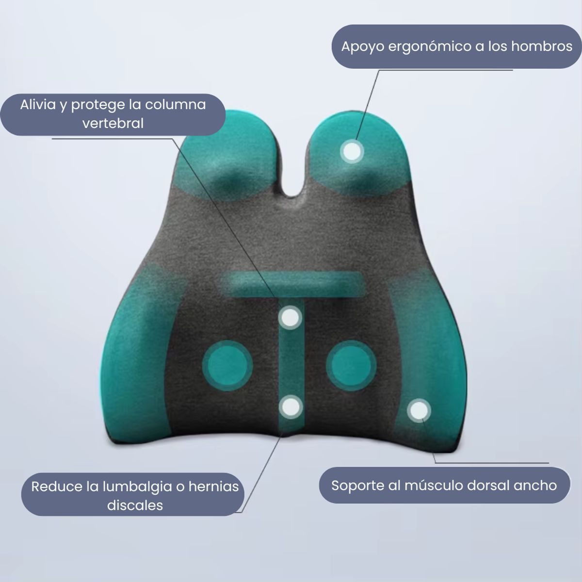 CARJOLLITY - Cojín Espalda Premium Alta Gama Corrector Lumbar Silla Auto