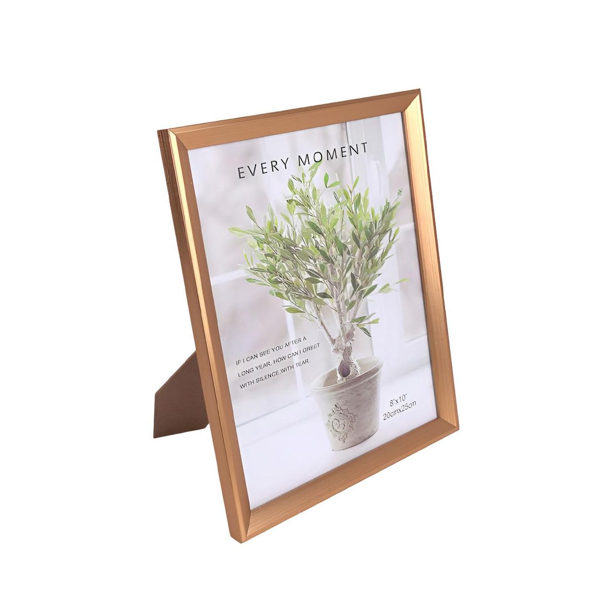 RYBIU IMPORT - Pack6 Cuadro para Imagenes en Repisa Y+Regalo Agendita