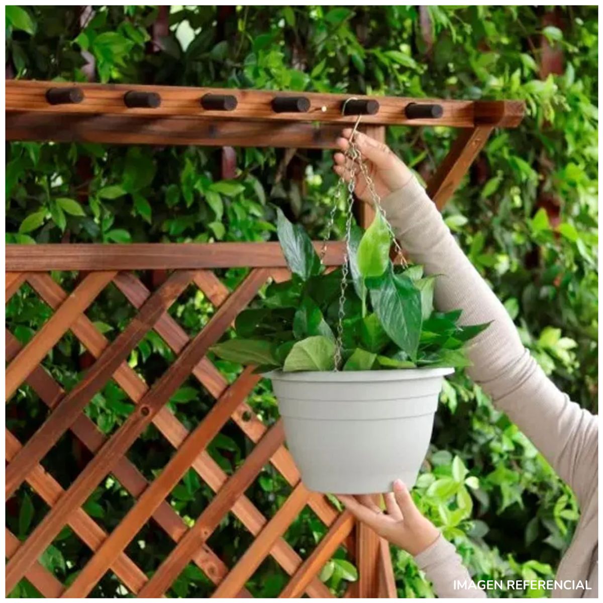 INSPIRA MARKET - Macetero colgante maceta circular elegante aesthetic