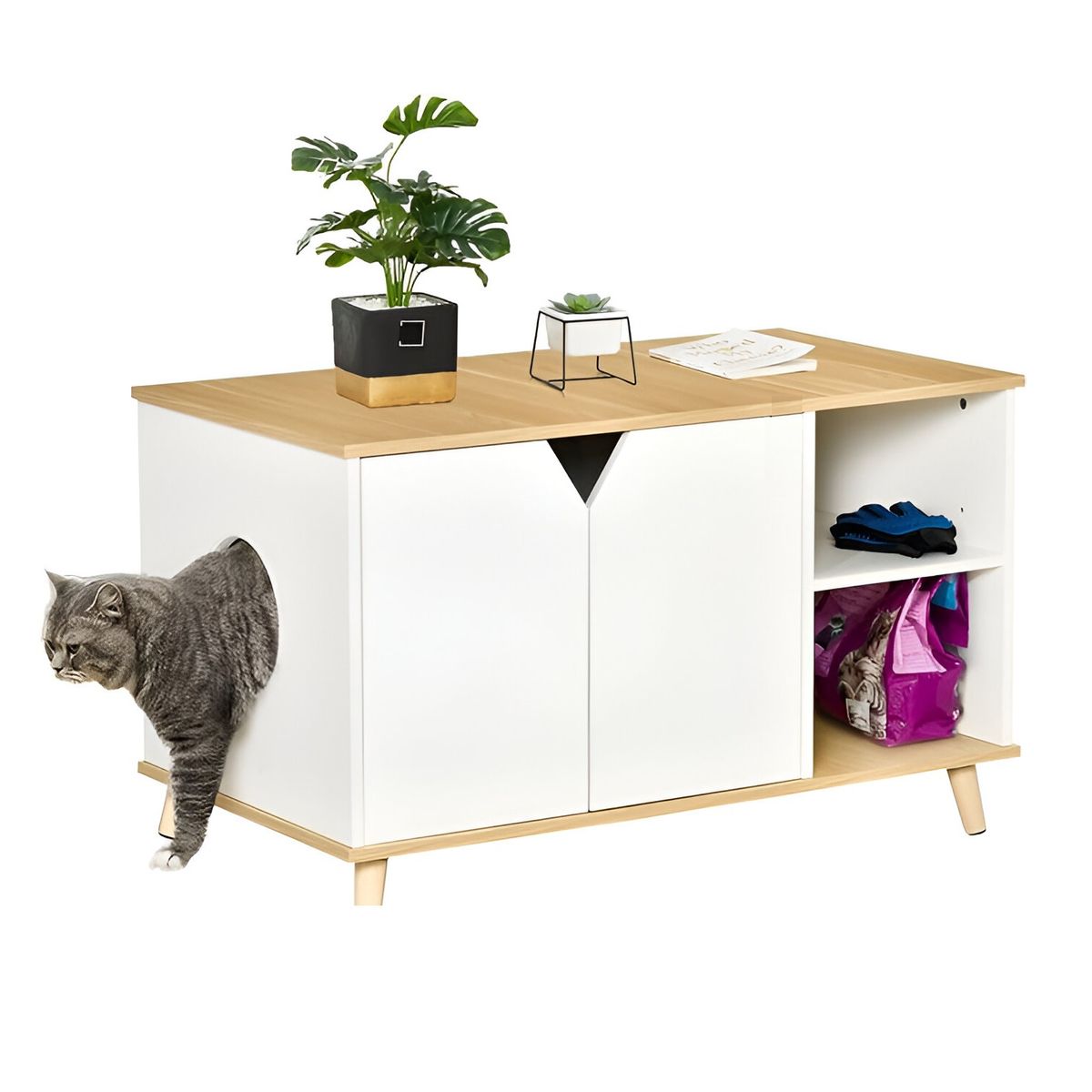 73 EXPERIENCE - Aparador Mascota Yella Blanco & Haya 73 Experience