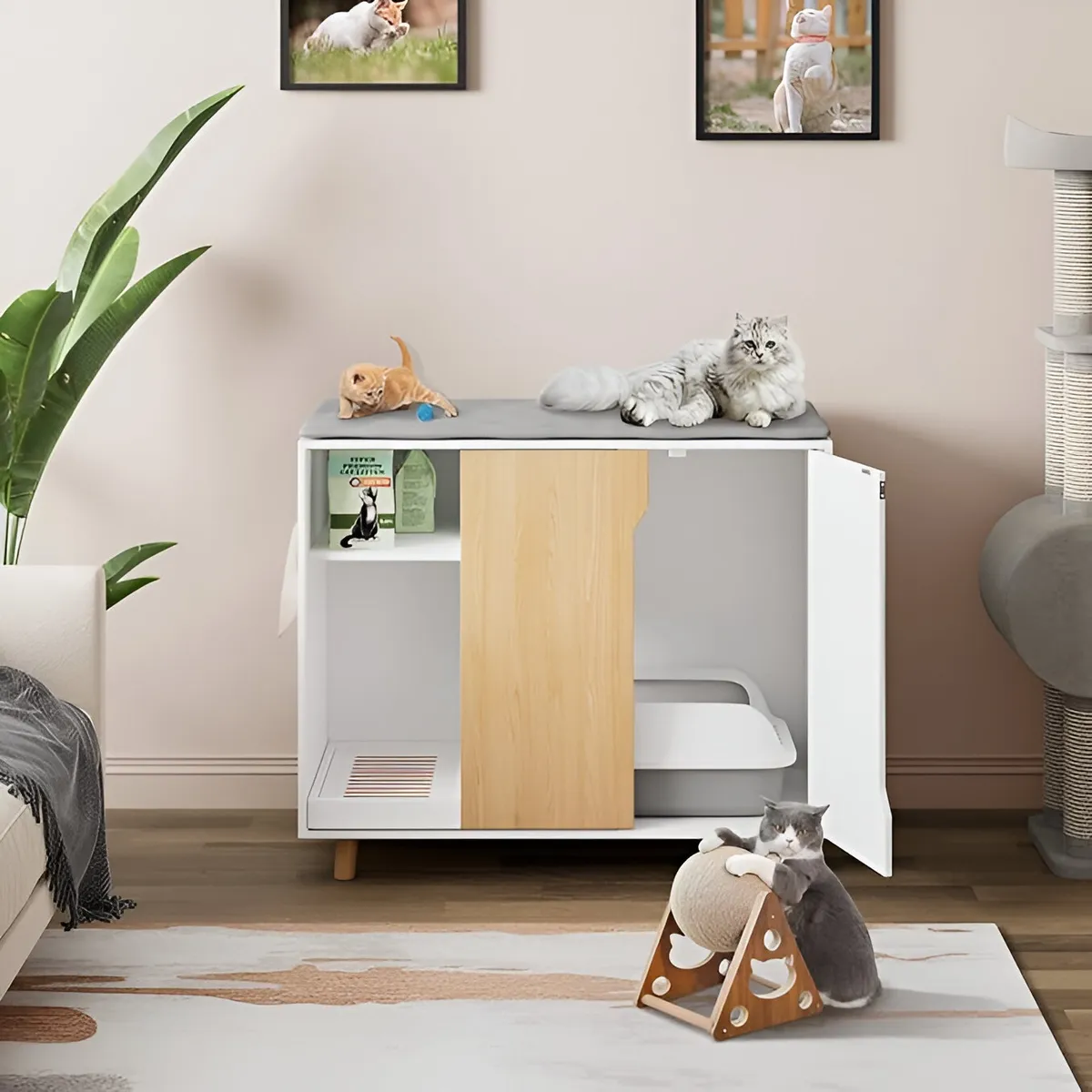 73 EXPERIENCE - Aparador Mascota Jhann Blanco & Haya 73 Experience