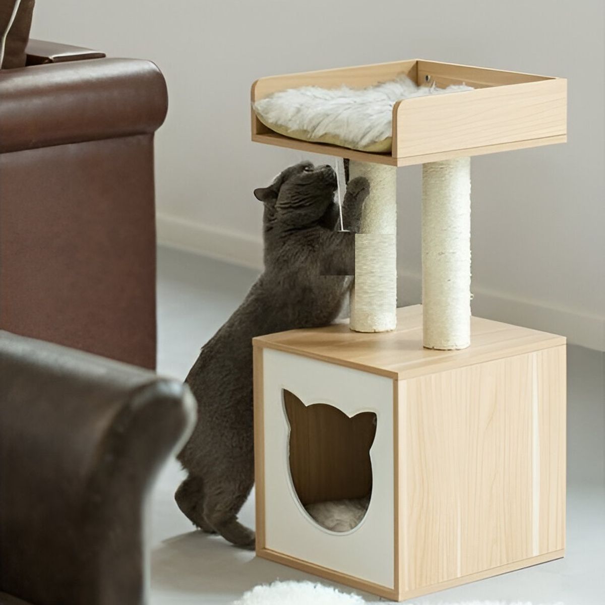 73 EXPERIENCE - Casa Mascota Vesal - Acacia & Blanco -73 Experience