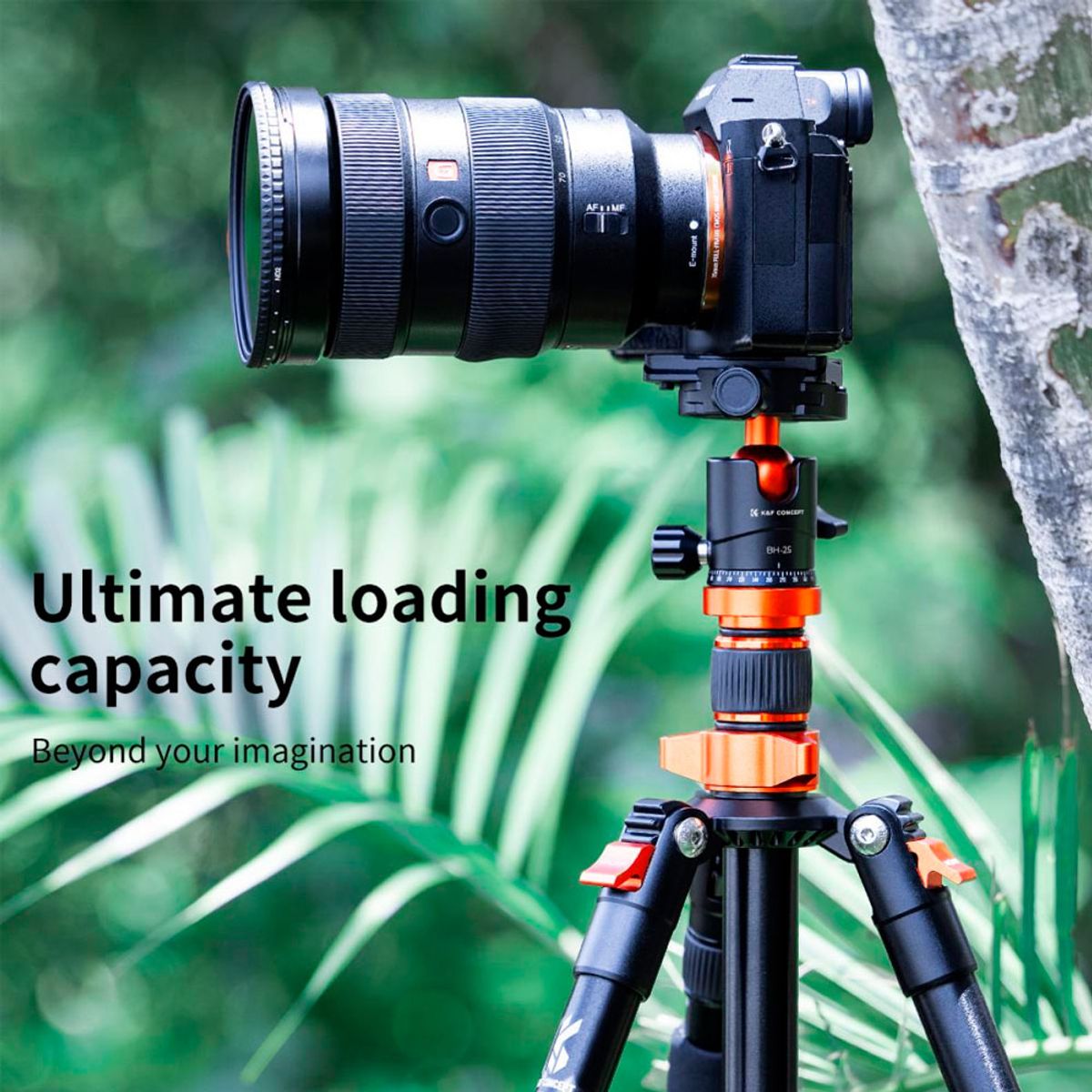 K&F CONCEPT - Cabezal para Tripode K&F Concept  KF31.029v3 - BH-25