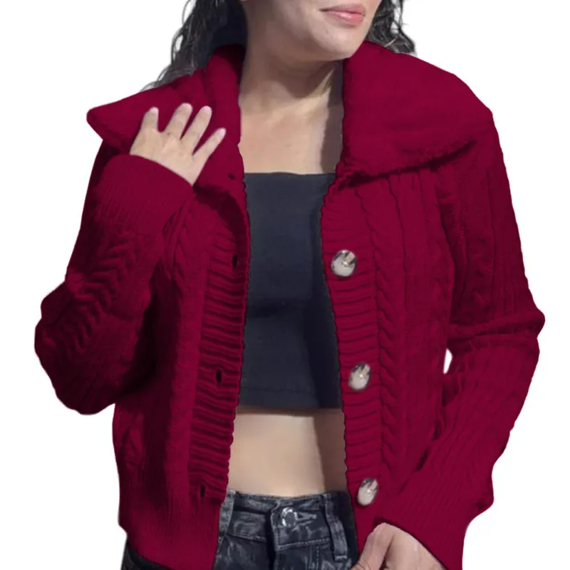 GENERICO - Chompa Mujer Hilo Camisero De Peluche 359G-25 Color Vino