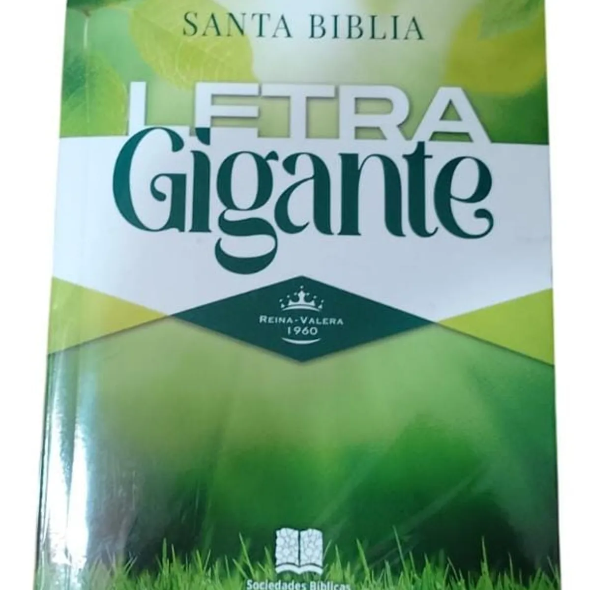 GENERICO - Biblia Letra Gigante Económica RV 1960 – Tapa rústica verde – Palabras de Jesús en rojo