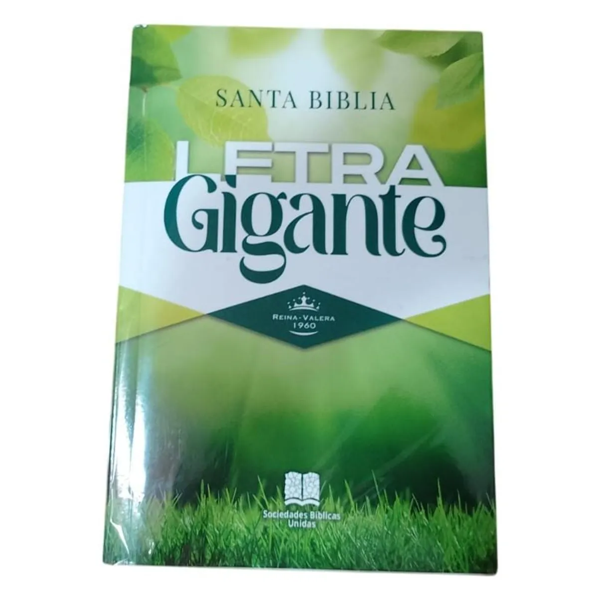 GENERICO - Biblia Letra Gigante Económica RV 1960 – Tapa rústica verde – Palabras de Jesús en rojo