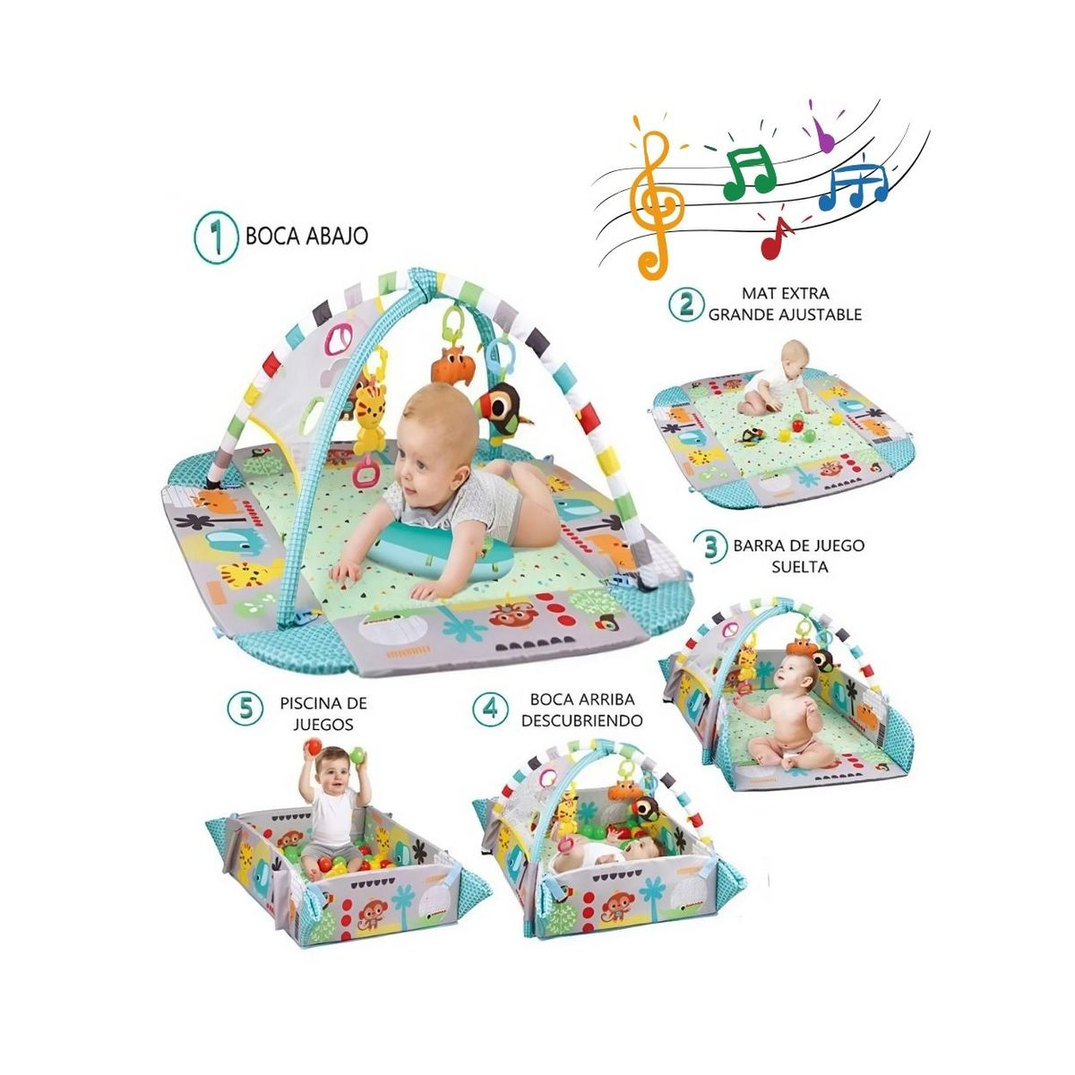 GENERICO - Gimnasio Musical con Pelotas Coloridas para Bebé Niño - 5en1