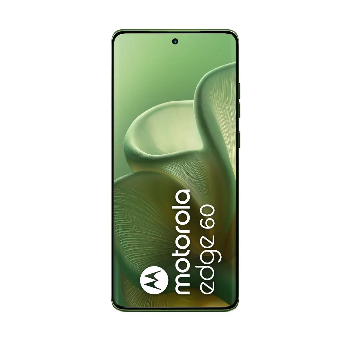 MOTOROLA - Moto Edge 60 12+512GB Verde