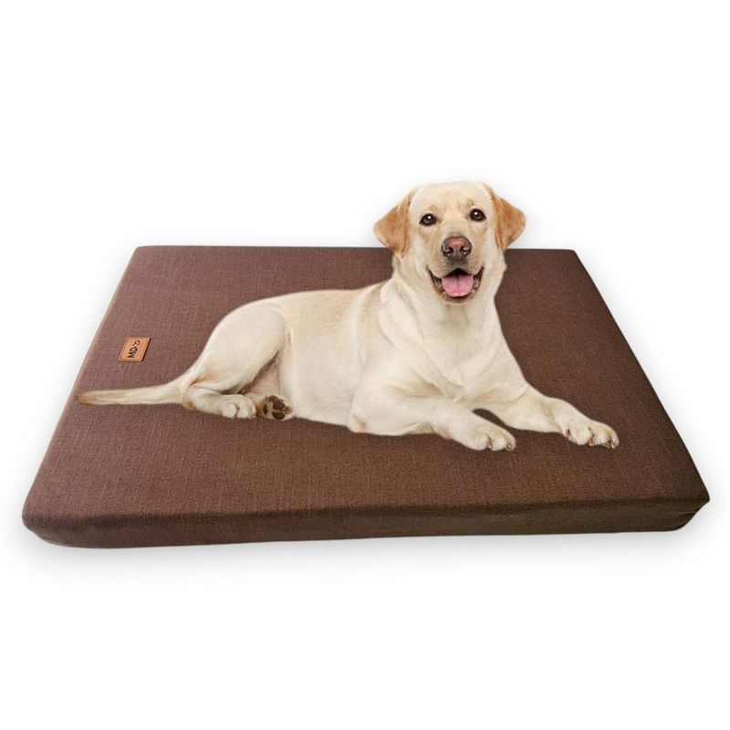 MD - Colchoneta Antifluidos para Mascotas Perros y Gatos L - Marrón