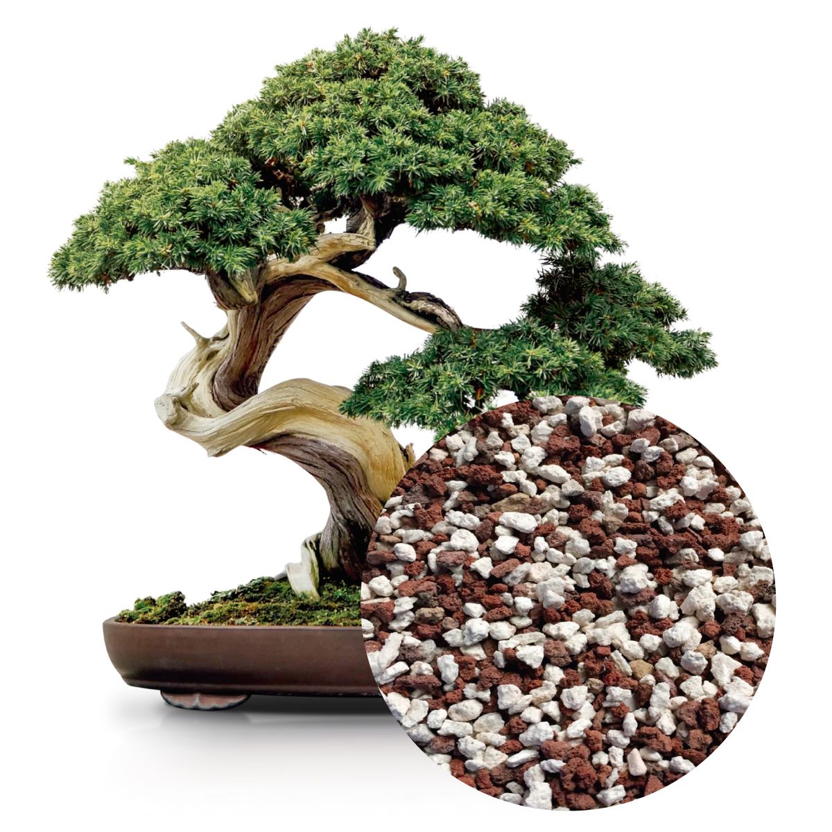 GENERICO - Sustrato Mineral para Bonsai - 5 kg