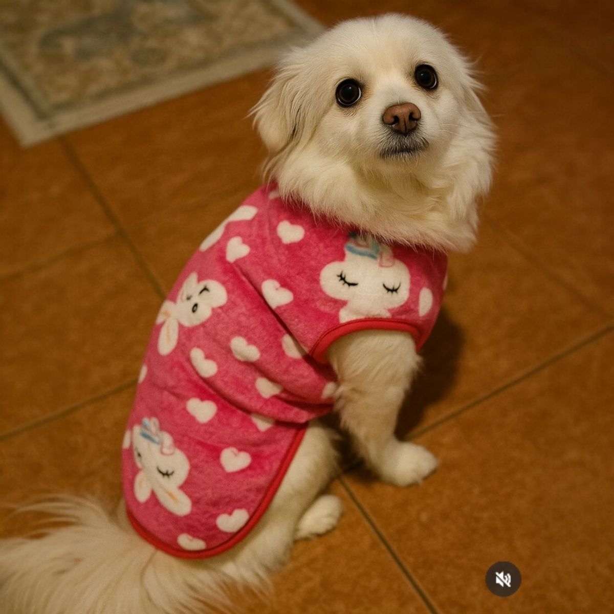 GENERICO - POLERA DE FELPA HIPOALERGÉNICA PARA PERROS – TALLA 3