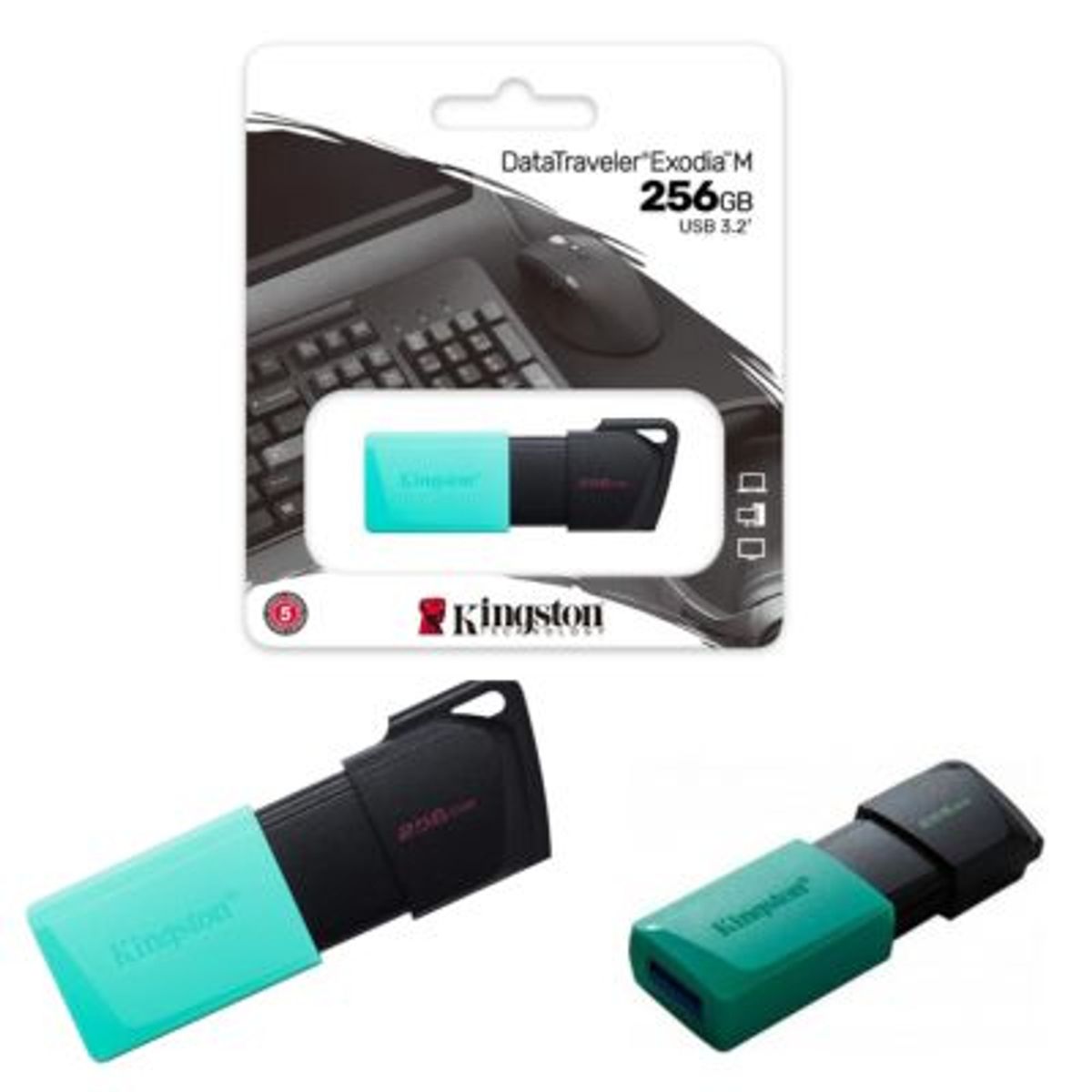 KINGSTON - MEMORIA USB KINGSTON DATATRAVELER EXODIA M 256GB