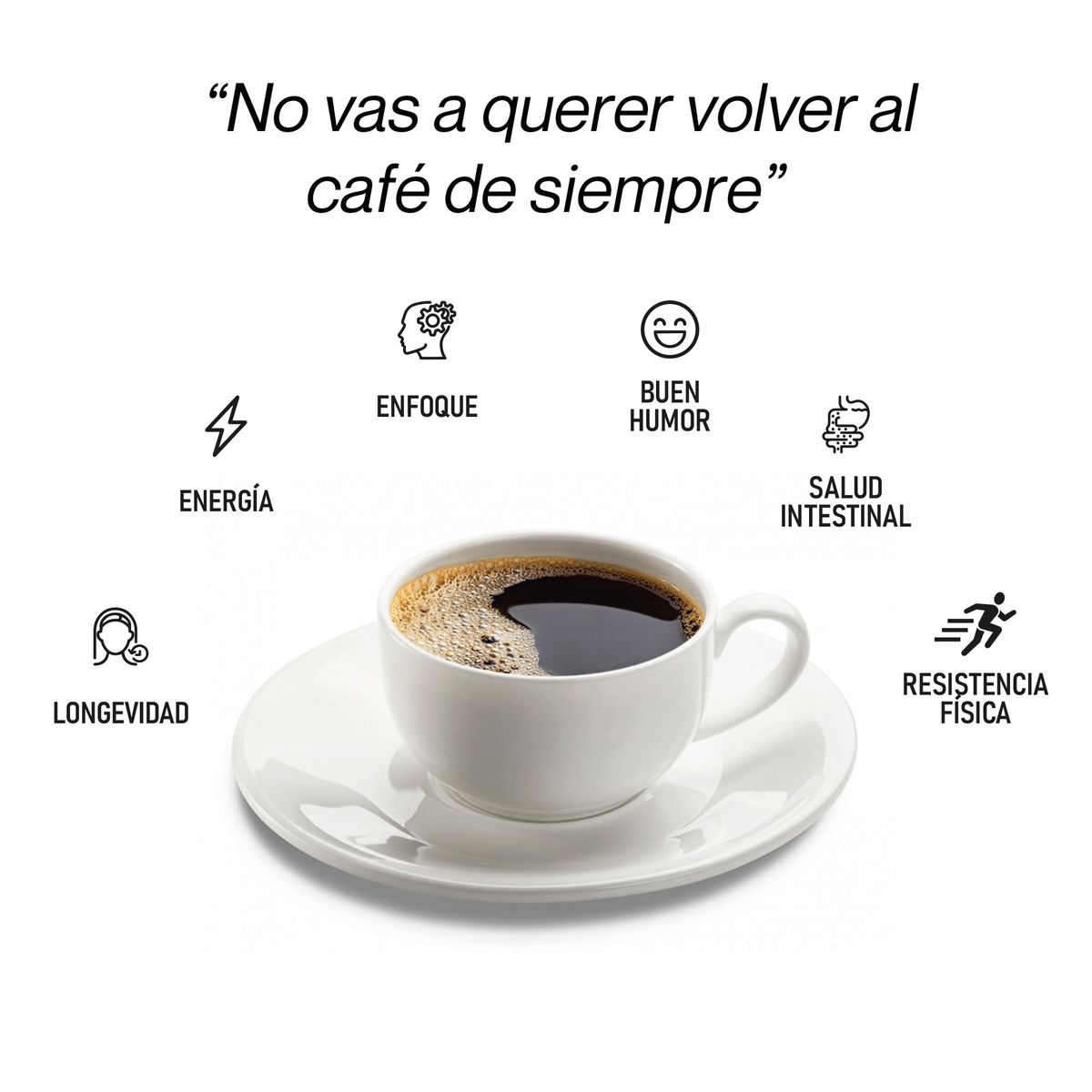 ECOLAND - CAFFETO Café de especialidad con hongos adaptógenos - doypack 220g