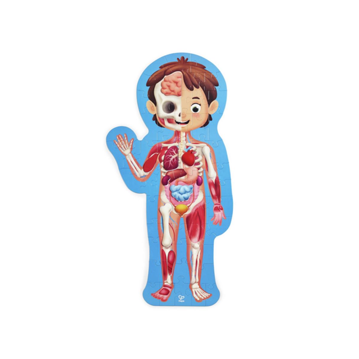 HAPE - Rompecabezas cuerpo humano en maletín 60 piezas