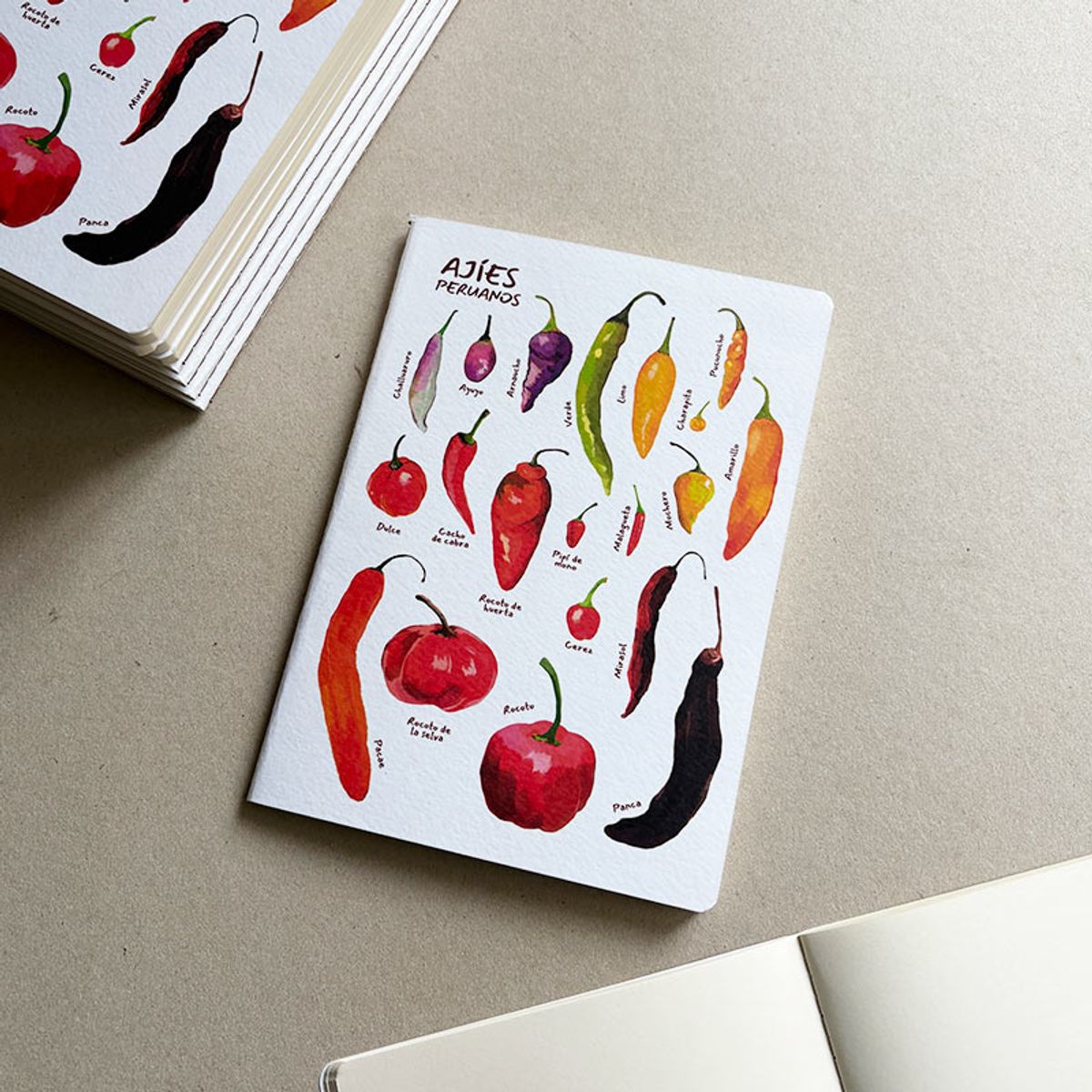 BOCETTOS - Cuadernillo Ajíes peruanos