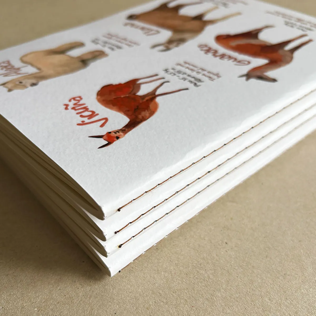 BOCETTOS - Cuadernillo Auquénidos