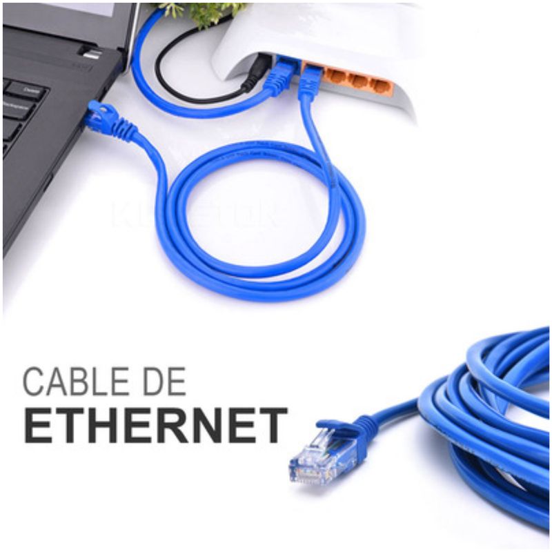 SEISA - Cable de Red Ethernet RJ45 Alta Velocidad - 20 metros