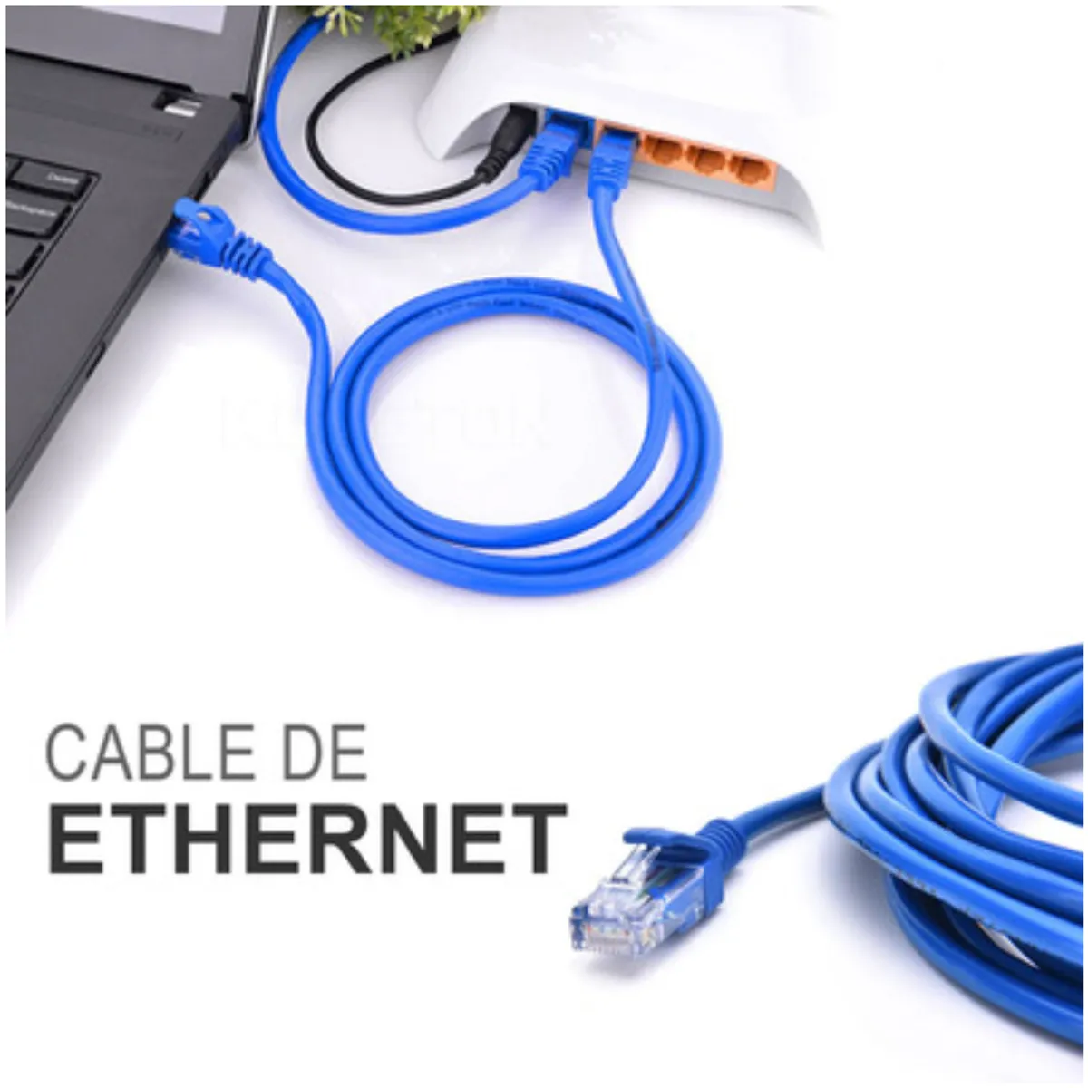 SEISA - Cable Ethernet de Conexión Rápida y Estable - Router PC y Smart TV