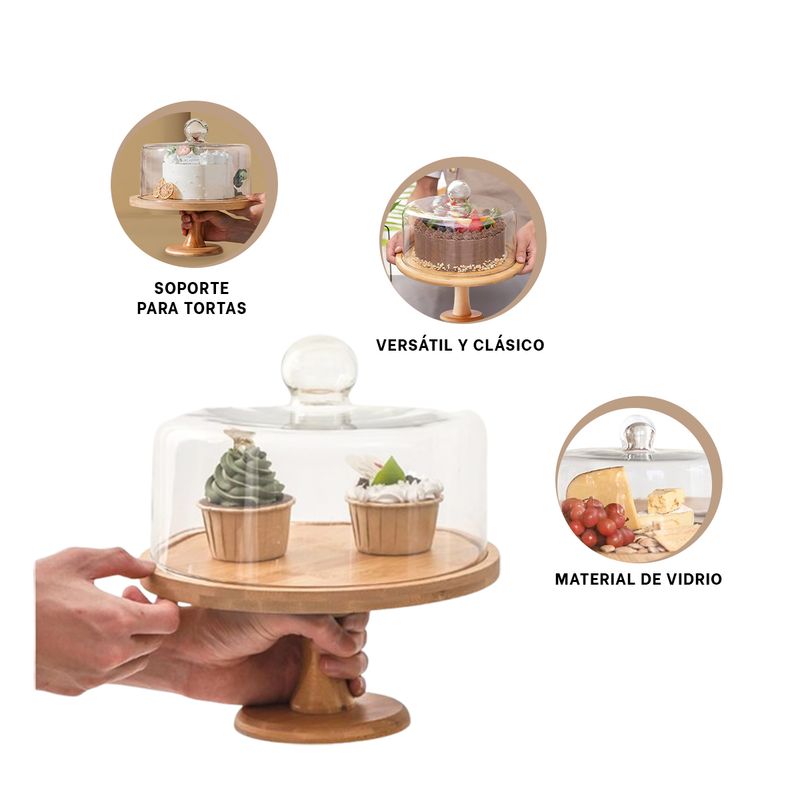 GENERICO - Pack4 Soporte Elegante de 24cm Transparent Y+Ligas de Regalo