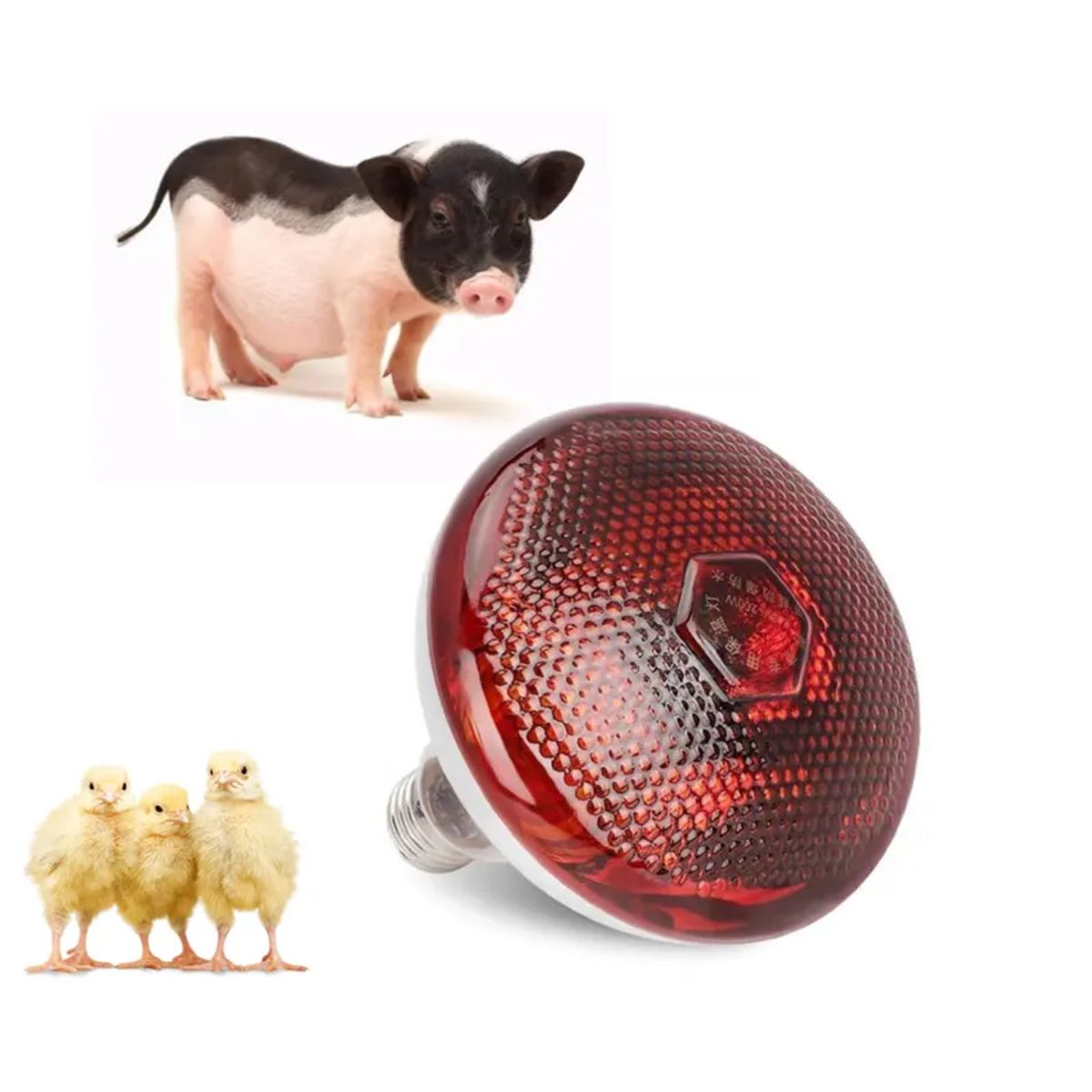 GENERICO - PACK 6 SOCKET CERÁMICO MODELO E27 Y 6 FOCO INFRARROJO 150W