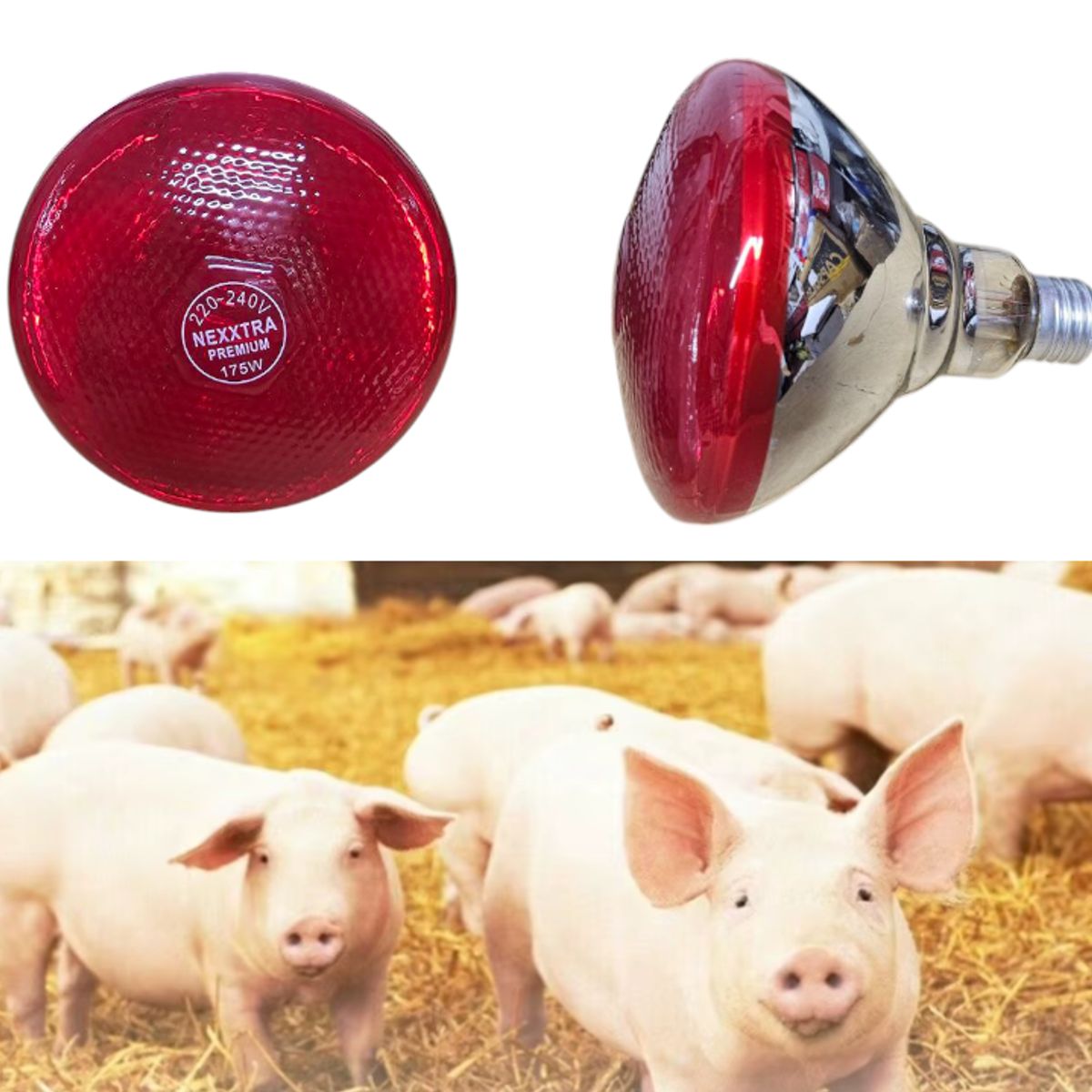 GENERICO - PACK 6 SOCKET CERÁMICO MODELO E27 Y 6 FOCO INFRARROJO 250W