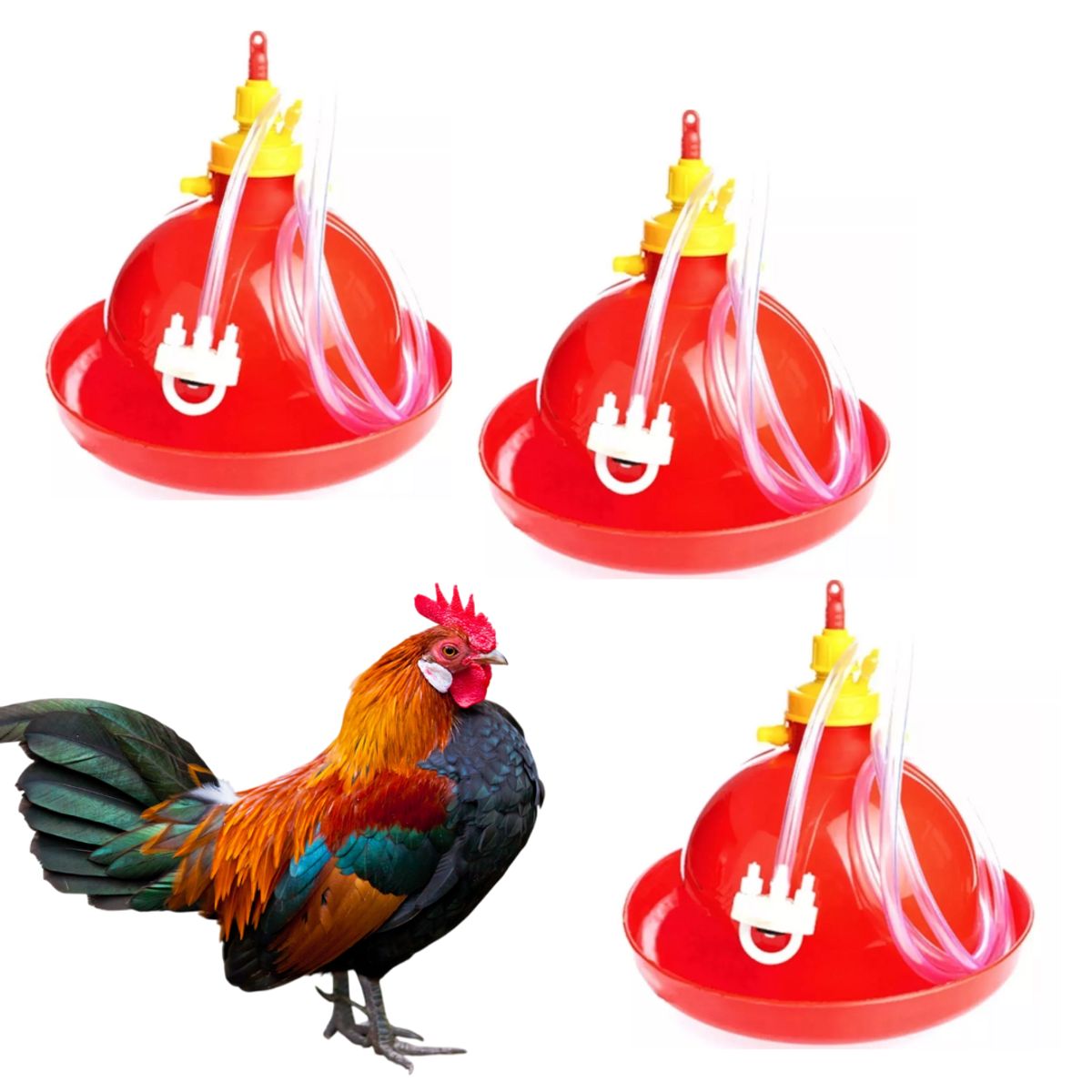 GENERICO - PACK X3 BEBEDERO AUTOMÁTICO PLASSON TIPO CAMPANA PARA POLLOS