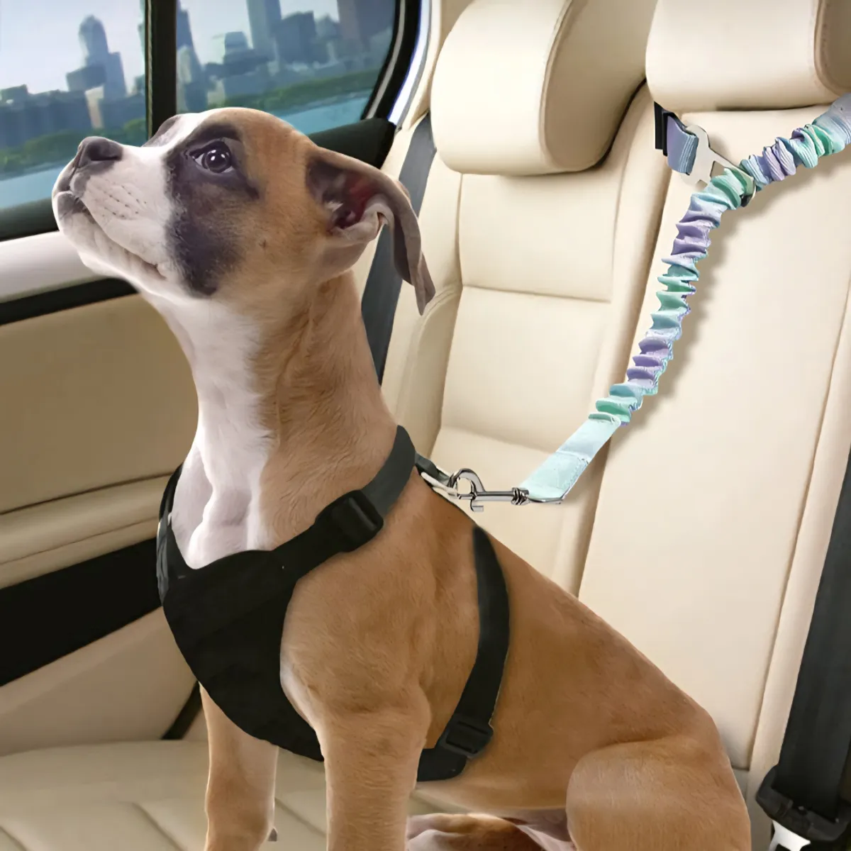 GENERICO - CINTURON DE SEGURIDAD PARA MASCOTAS