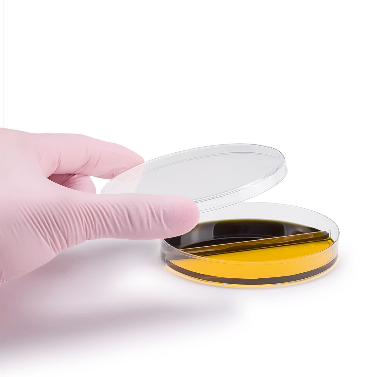 GENERICO - Placas Petri de Plástico de 90 X 15 MM 2 Divisiones BOLSA 10 UND