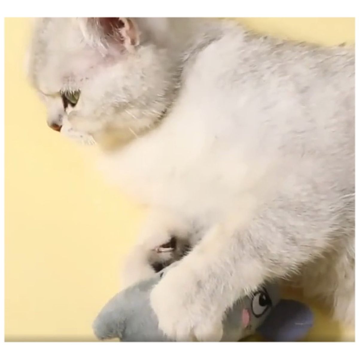 GENERICO - VENTA FINAL Juguete con Catnip para Gato Ratón Largo de Peluche Gris