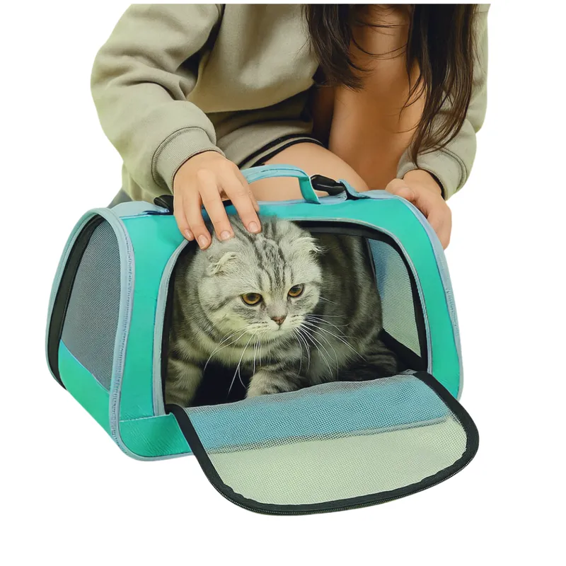 INSPIRA MARKET - Bolso Transportador para Mascotas Gatos Verde Agua