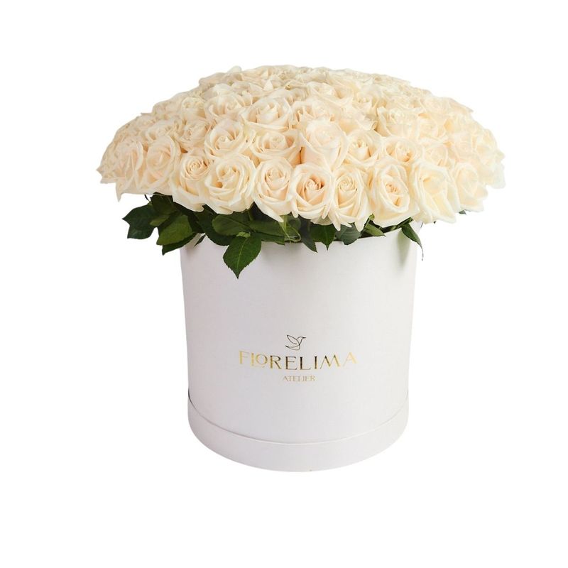 GENERICO - Box Carol - Rosas Blancas XL