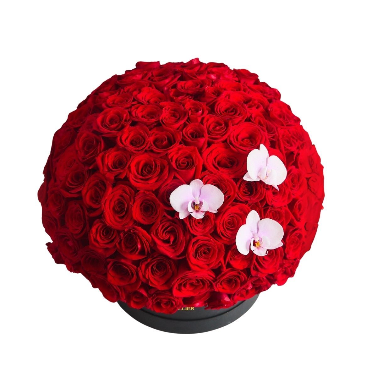 GENERICO - Box Pasión Suprema – 150 Rosas Rojas y 3 Orquídeas