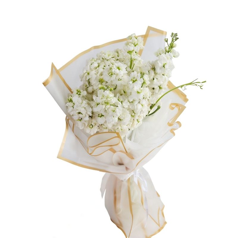 GENERICO - Ramo de Alelí blanco