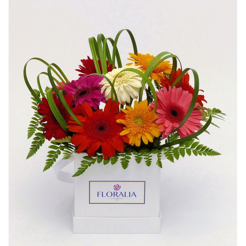 FLORALIA - Arreglo de flores - Valeria Happy Gerberas