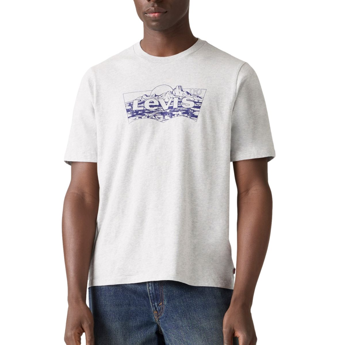 LEVIS - Polo Hombre Graphic Crewneck Tee Gris Levis