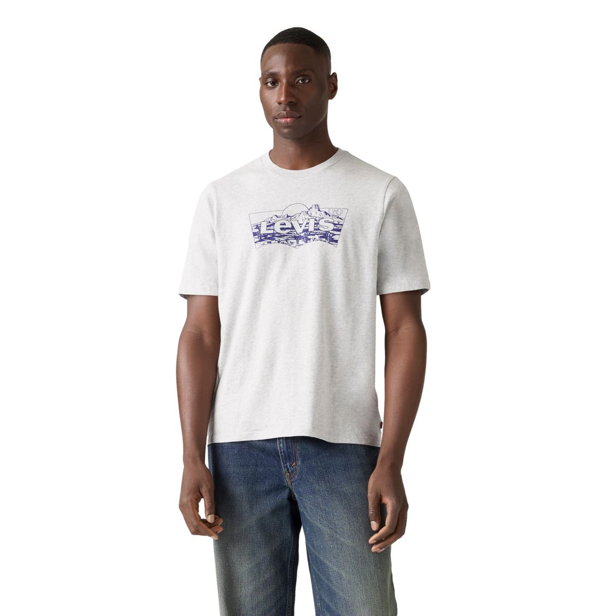 LEVIS - Polo Hombre Graphic Crewneck Tee Gris Levis