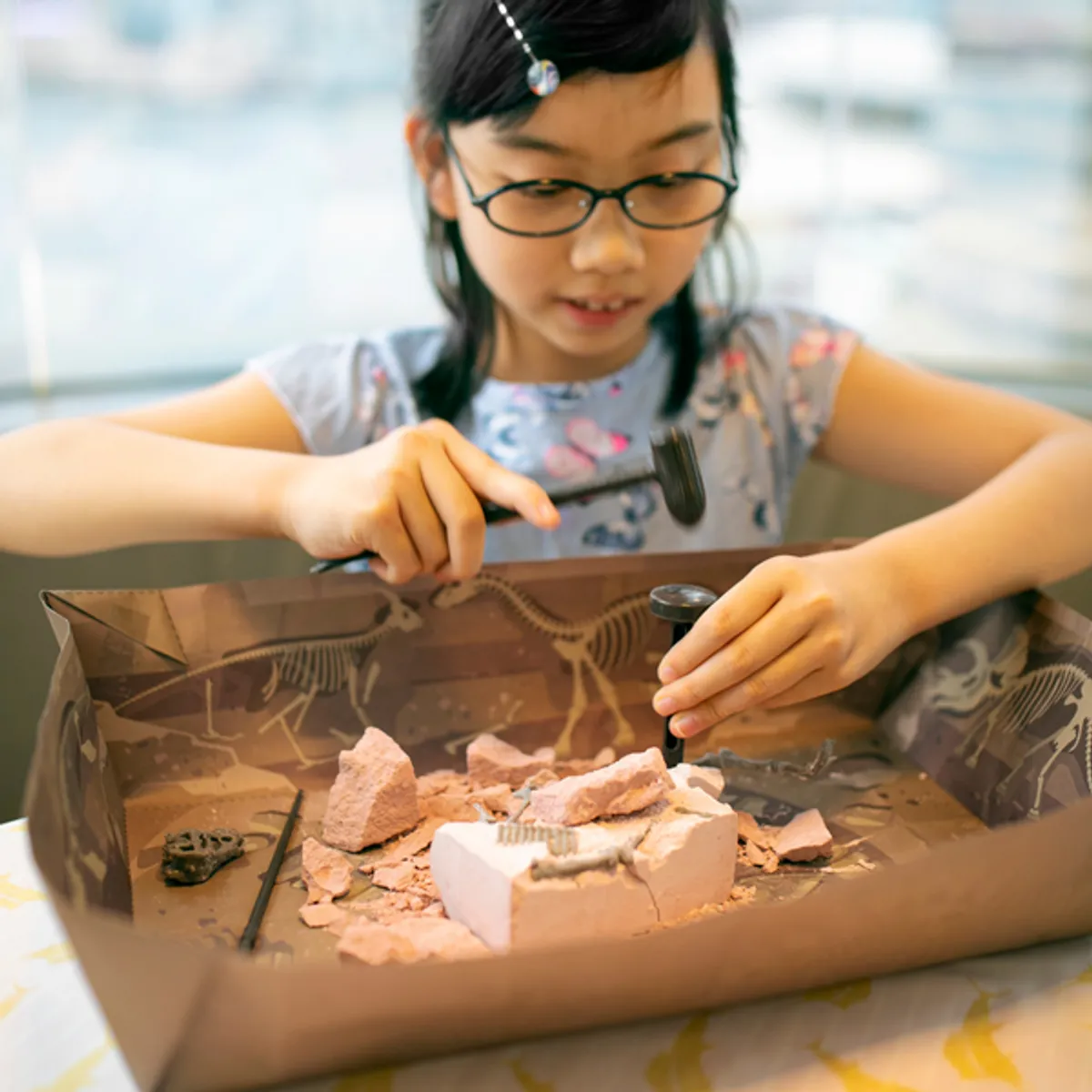 4M - Excava y arma brachiosaurus