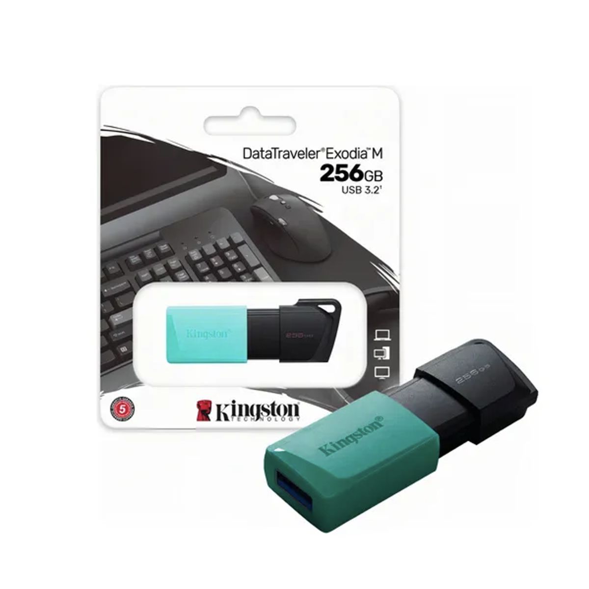 KINGSTON - MEMORIA USB KINGSTON EXODIA M 256GB