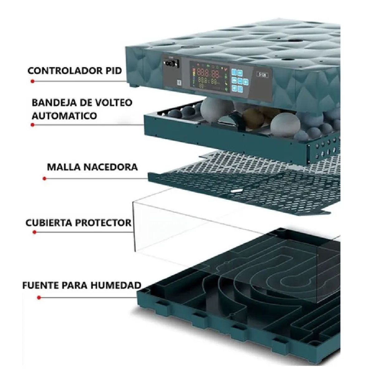 GENERICO - INCUBADORA AUTOMÁTICA 128 HUEVOS DUAL 220V-12V JERSIMPORT