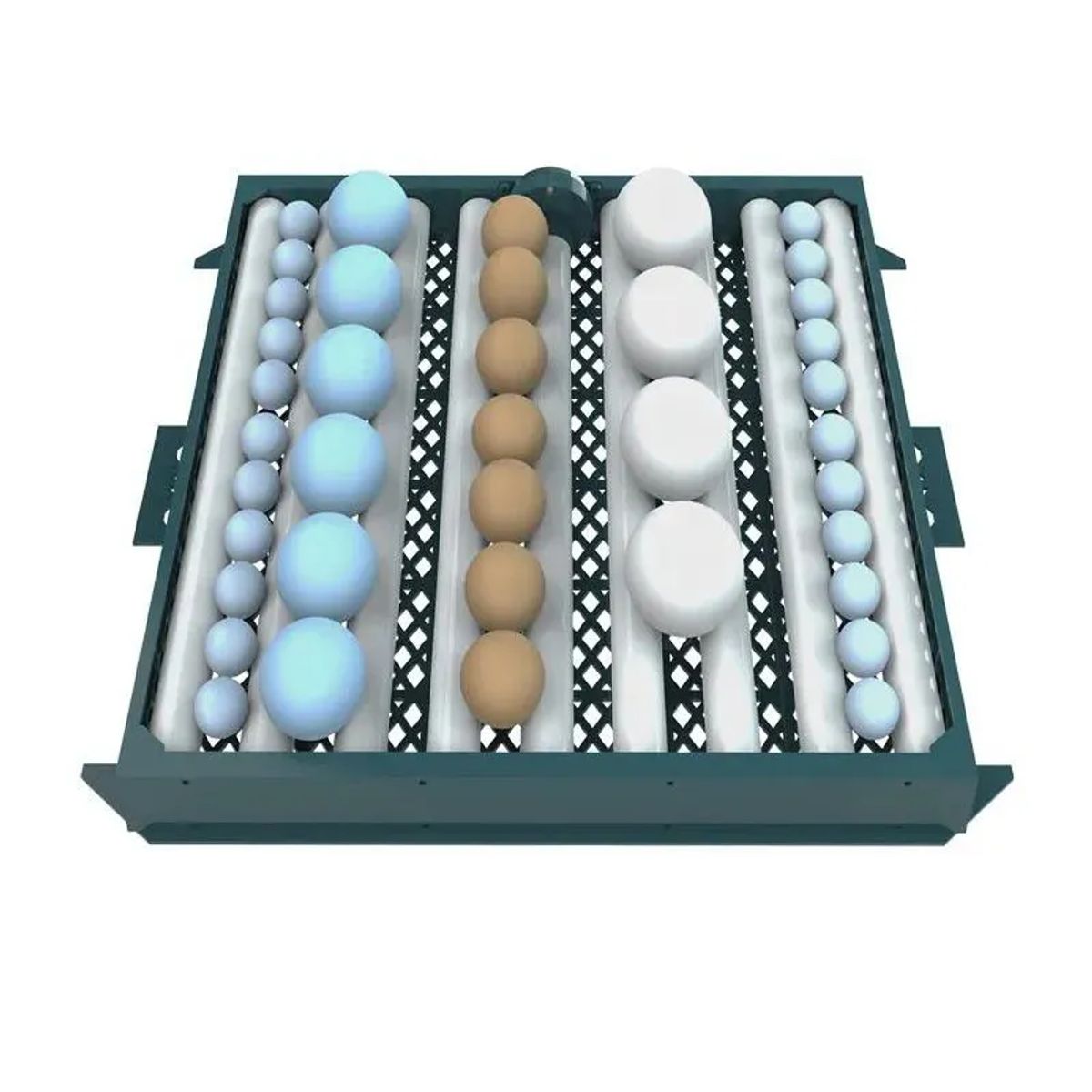 GENERICO - INCUBADORA AUTOMÁTICA DE 64 HUEVOS 220V-12V JERSIMPORT