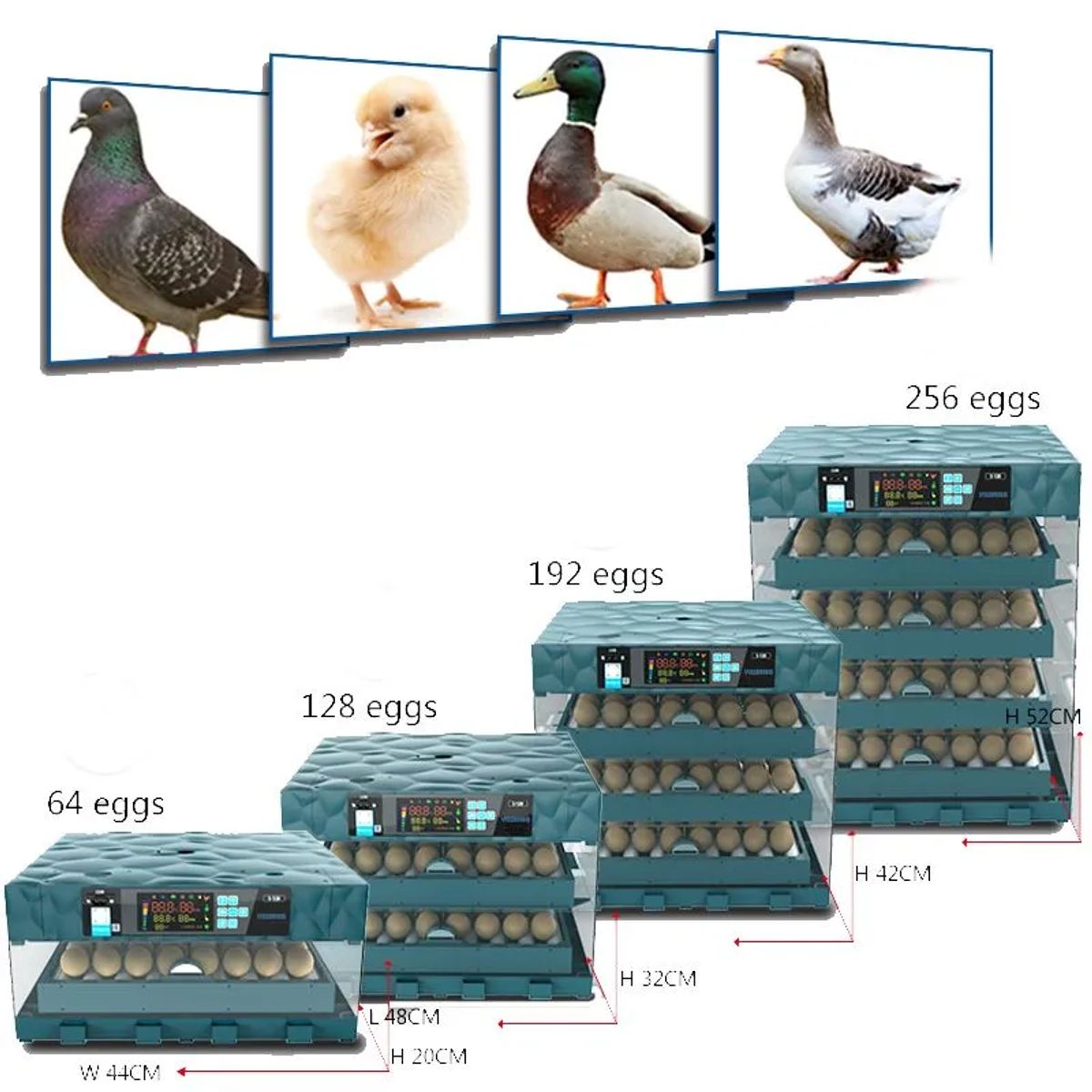 GENERICO - INCUBADORA AUTOMÁTICA DE 256 HUEVOS DUAL 220V-12V JERSIMPORT