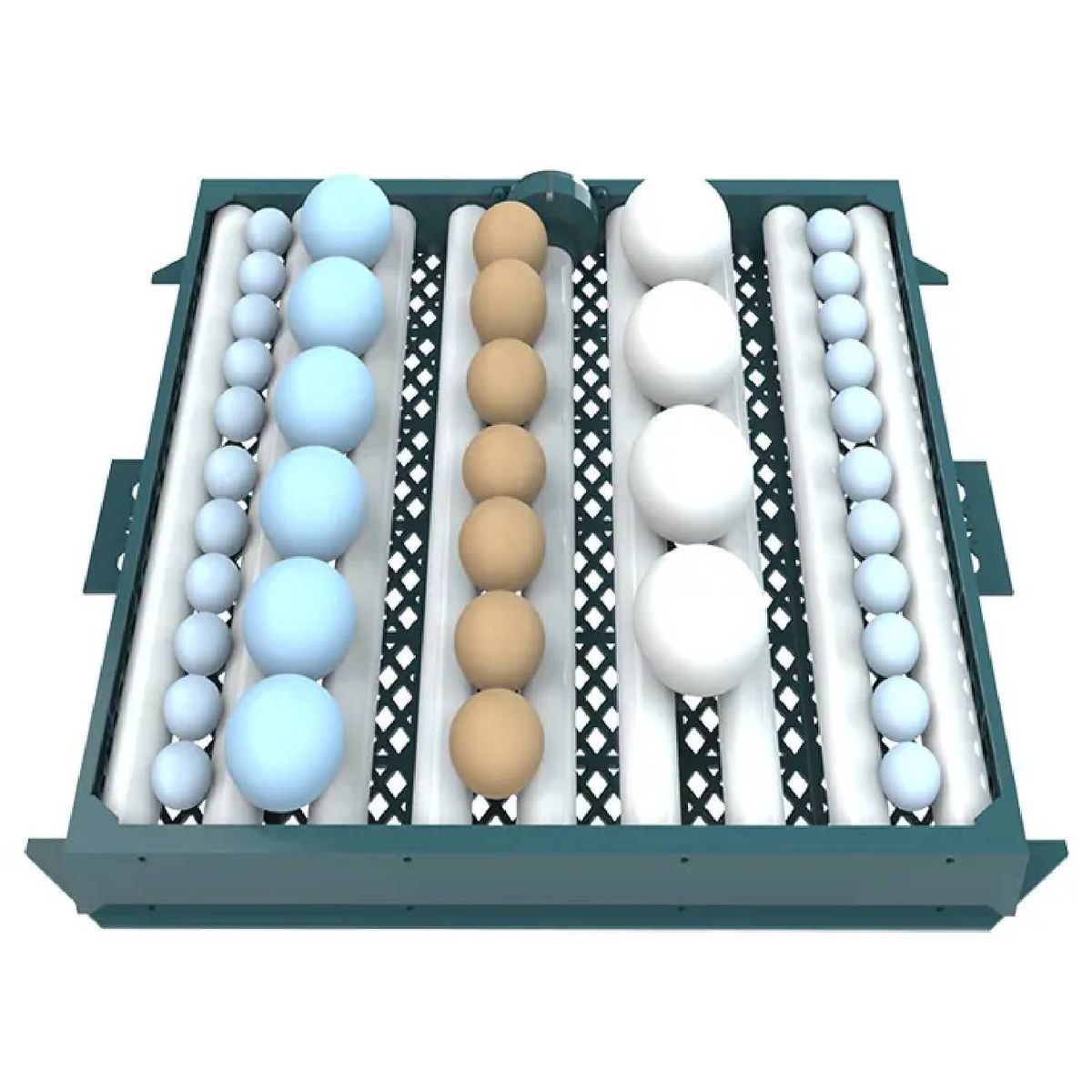 GENERICO - INCUBADORA AUTOMATICA DE 192 HUEVOS 220V