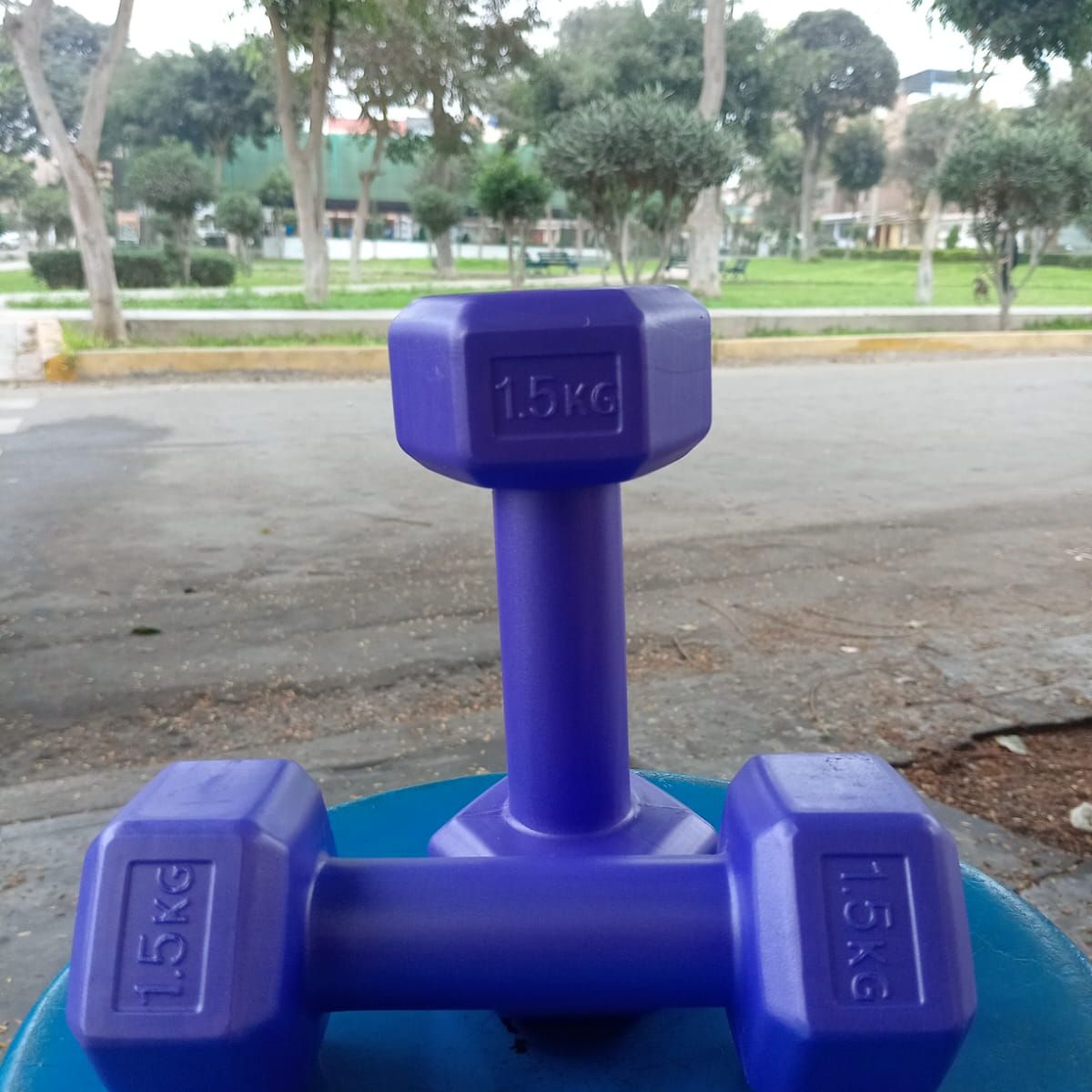 GENERICO - Mancuernas 1.5 Kg Pesa Hexagonal Mancuerna PVC Pesas