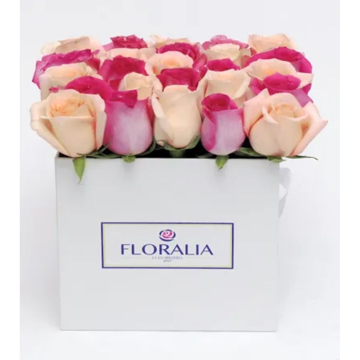 FLORALIA - Arreglo de flores - Paris Arcoiris - Rosas