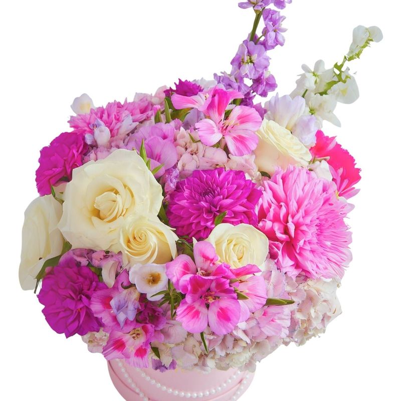 GENERICO - Box Dalias hortensias y rosas