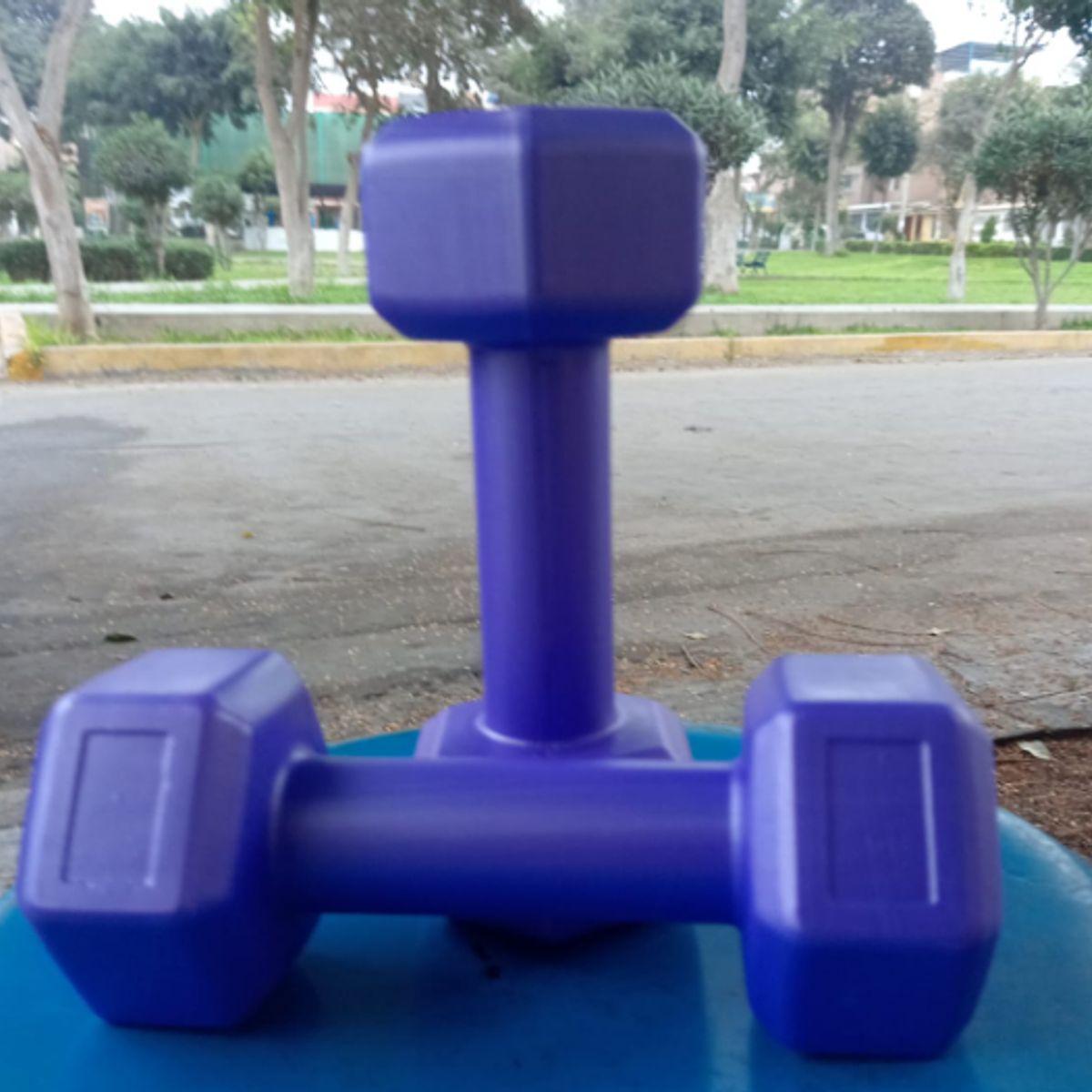 GENERICO - Mancuernas 5 Kg Pesa Hexagonal Mancuerna PVC Pesas